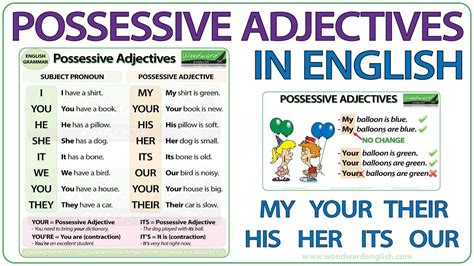 progressive adjective .
